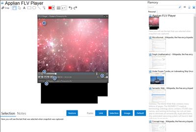 Applian FLV Player - Flamory bookmarks and screenshots