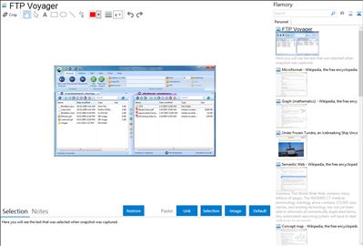 FTP Voyager - Flamory bookmarks and screenshots