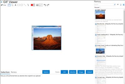 GIF Viewer - Flamory bookmarks and screenshots