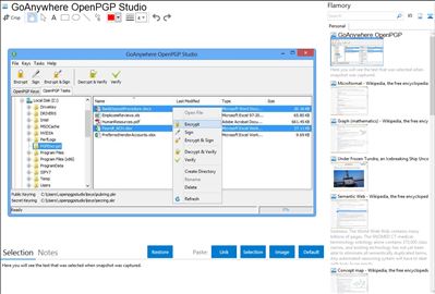 GoAnywhere OpenPGP Studio - Flamory bookmarks and screenshots