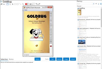 GoldBug - Flamory bookmarks and screenshots