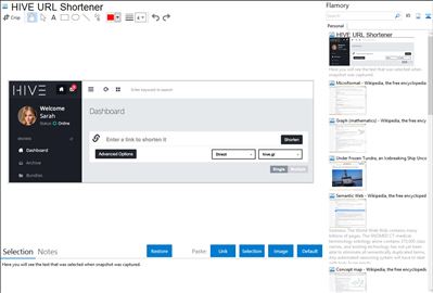 HIVE URL Shortener - Flamory bookmarks and screenshots