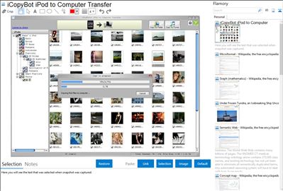 iCopyBot iPod to Computer Transfer - Flamory bookmarks and screenshots