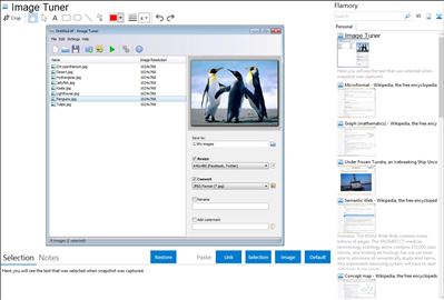 Image Tuner - Flamory bookmarks and screenshots