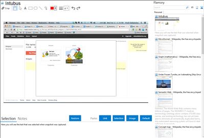Intubus - Flamory bookmarks and screenshots
