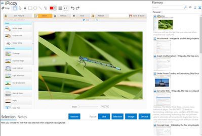 iPiccy - Flamory bookmarks and screenshots