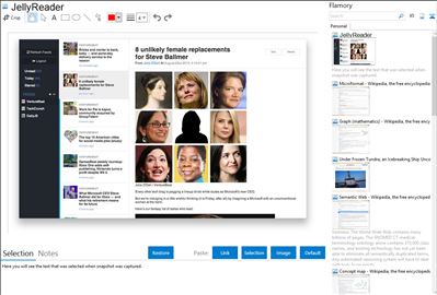 JellyReader - Flamory bookmarks and screenshots