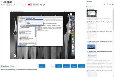 Jreepad - Flamory bookmarks and screenshots