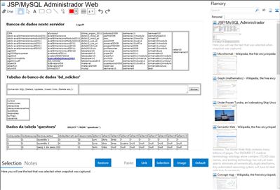 JSP/MySQL Administrador Web - Flamory bookmarks and screenshots