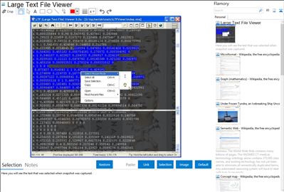 Large Text File Viewer - Flamory bookmarks and screenshots