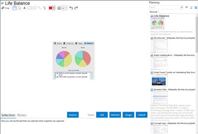 Life Balance - Flamory bookmarks and screenshots