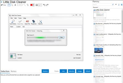 Little Disk Cleaner - Flamory bookmarks and screenshots