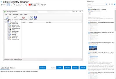 Little Registry cleaner - Flamory bookmarks and screenshots