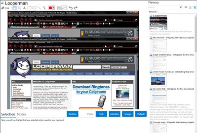 Looperman - Flamory bookmarks and screenshots