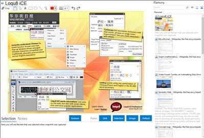Loqu8 iCE - Flamory bookmarks and screenshots