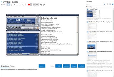 Lyrics Plugin - Flamory bookmarks and screenshots