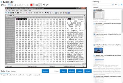MadEdit - Flamory bookmarks and screenshots