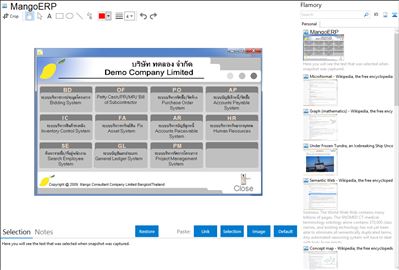 MangoERP - Flamory bookmarks and screenshots