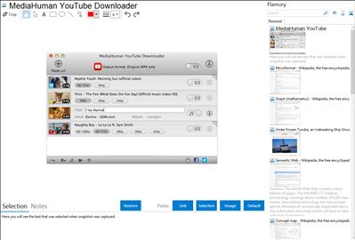 MediaHuman YouTube Downloader - Flamory bookmarks and screenshots