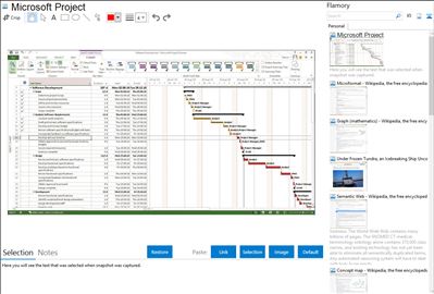 Microsoft Project - Flamory bookmarks and screenshots