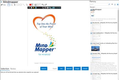 Mindmapper - Flamory bookmarks and screenshots