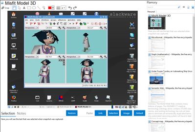 Misfit Model 3D - Flamory bookmarks and screenshots