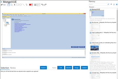 MongoVUE - Flamory bookmarks and screenshots