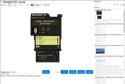 MorphVOX Junior - Flamory bookmarks and screenshots