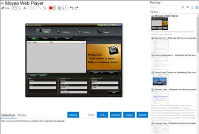 Moyea Web Player - Flamory bookmarks and screenshots