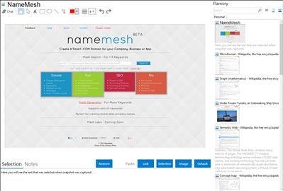 NameMesh - Flamory bookmarks and screenshots