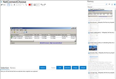 NetConnectChoose - Flamory bookmarks and screenshots
