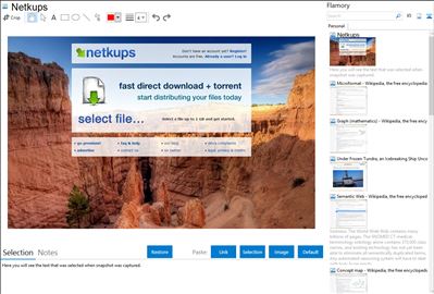 Netkups - Flamory bookmarks and screenshots