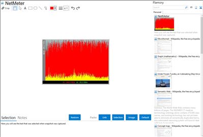 NetMeter - Flamory bookmarks and screenshots