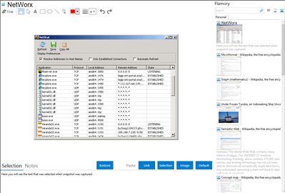 NetWorx - Flamory bookmarks and screenshots