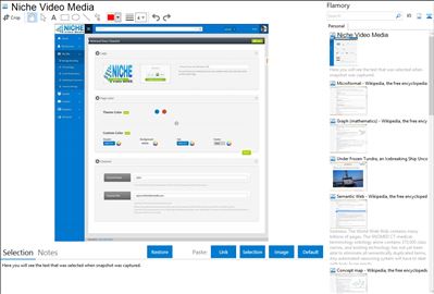 Niche Video Media - Flamory bookmarks and screenshots