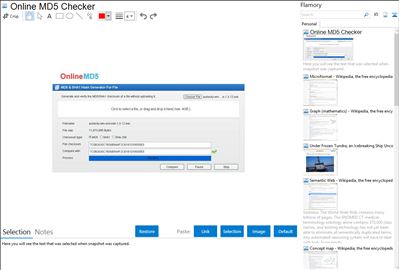 Online MD5 Checker - Flamory bookmarks and screenshots