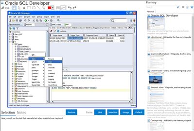 Oracle SQL Developer - Flamory bookmarks and screenshots
