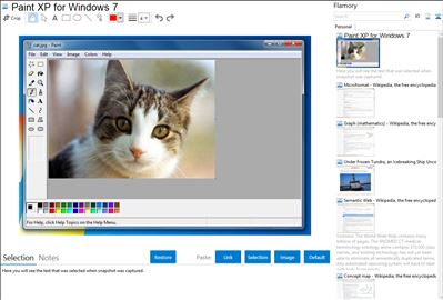 Paint XP for Windows 7 - Flamory bookmarks and screenshots