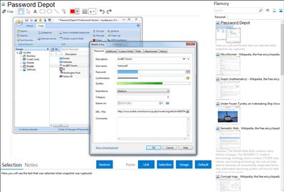 Password Depot - Flamory bookmarks and screenshots