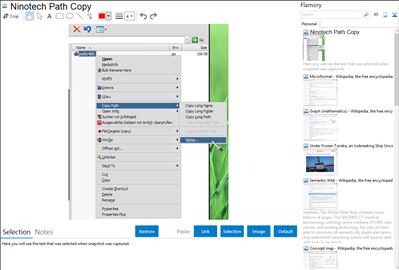 Ninotech Path Copy - Flamory bookmarks and screenshots