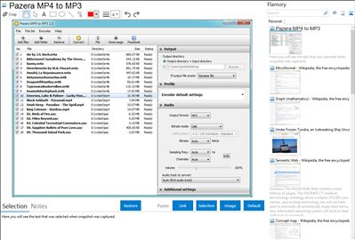 Pazera MP4 to MP3 - Flamory bookmarks and screenshots