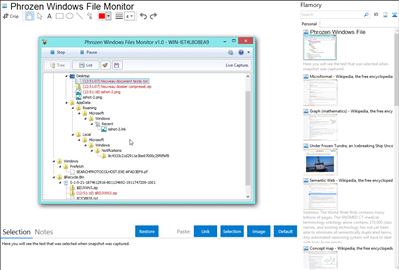 Phrozen Windows File Monitor - Flamory bookmarks and screenshots