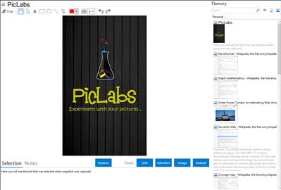 PicLabs - Flamory bookmarks and screenshots