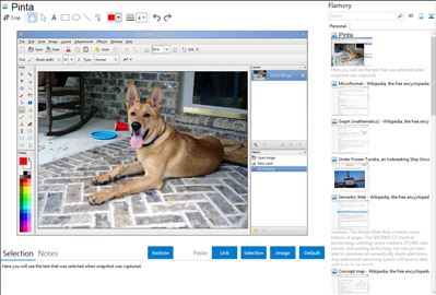 Pinta - Flamory bookmarks and screenshots