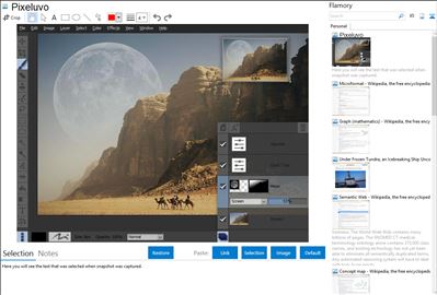 Pixeluvo - Flamory bookmarks and screenshots