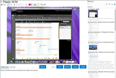 Plastic SCM - Flamory bookmarks and screenshots