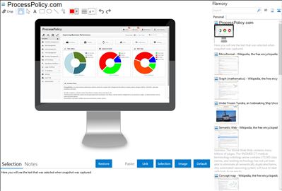 ProcessPolicy.com - Flamory bookmarks and screenshots