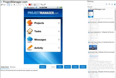 ProjectManager.com - Flamory bookmarks and screenshots