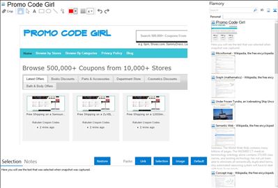 Promo Code Girl - Flamory bookmarks and screenshots