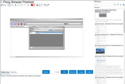 Proxy Browser Premium - Flamory bookmarks and screenshots